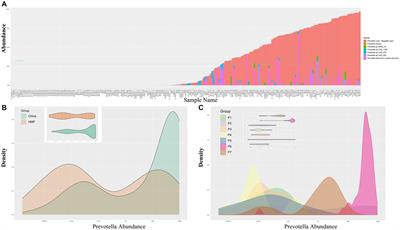 Temporal dynamics and species-level complexity of Prevotella spp. in the human gut microbiota: implications for enterotypes and health